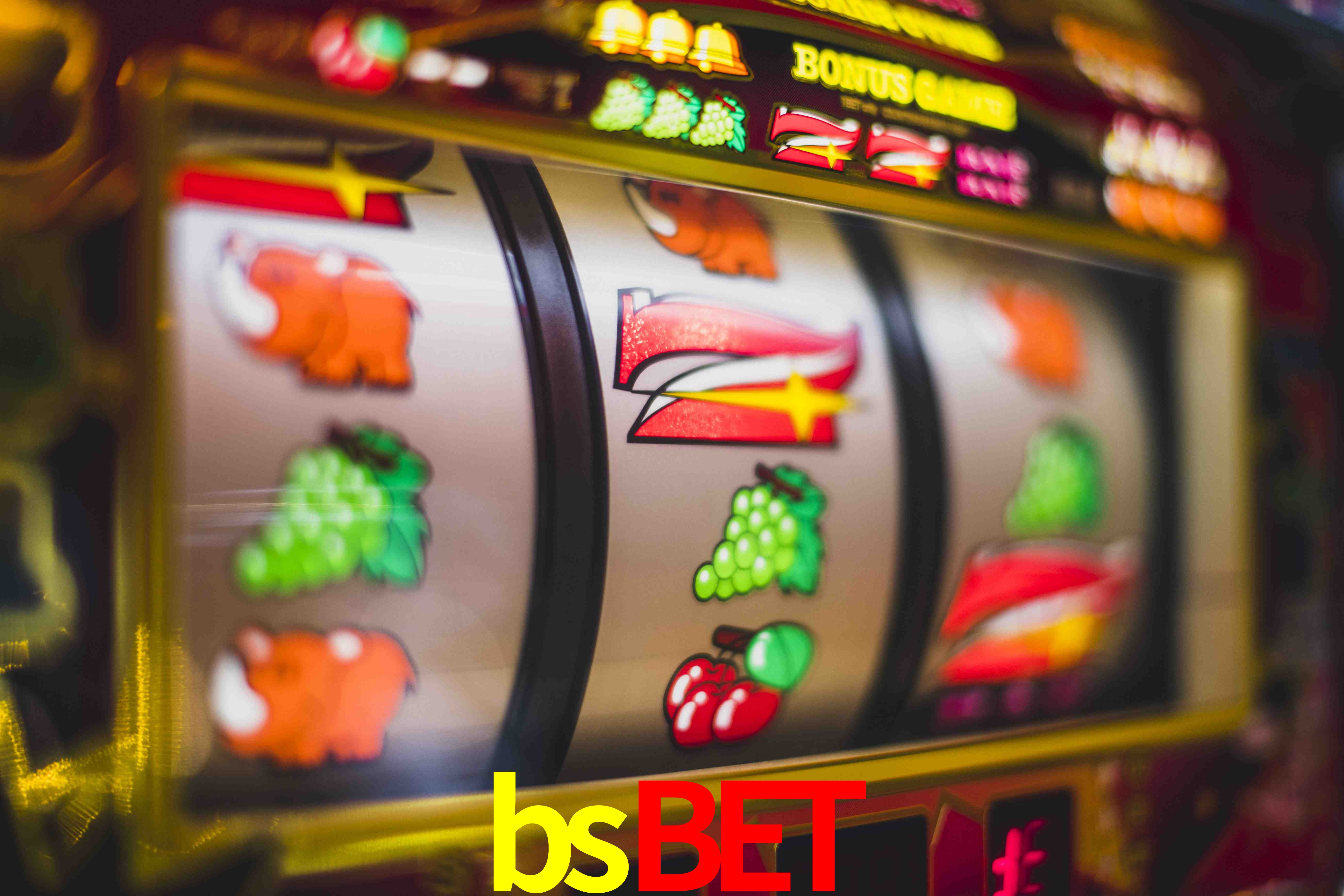 Sports Statistics bsbet